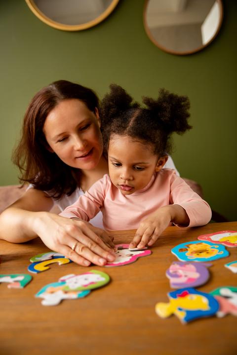 Actual product image Montessori Outline Puzzle -Halves Educational Toy