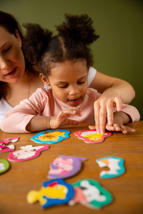 Actual product image Montessori Outline Puzzle -Halves Educational Toy