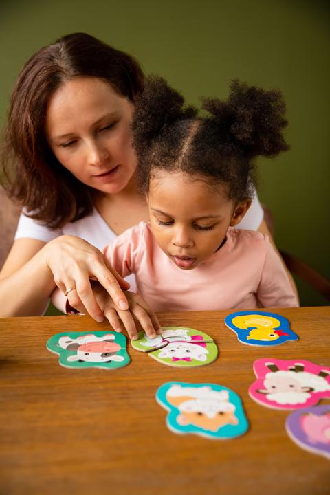 Actual product image Montessori Outline Puzzle -Halves Educational Toy