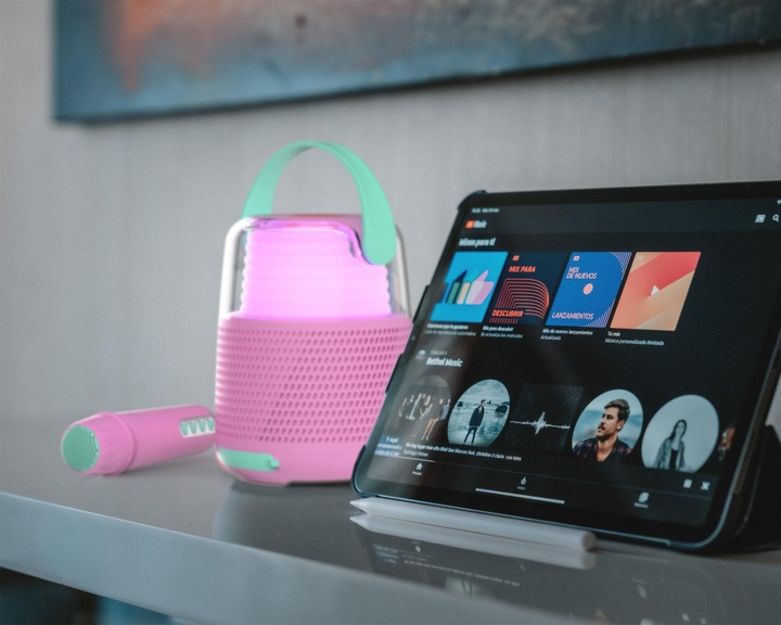 Actual product image Mobility on Board Speakers & Karaoke KS-80 (24 h)