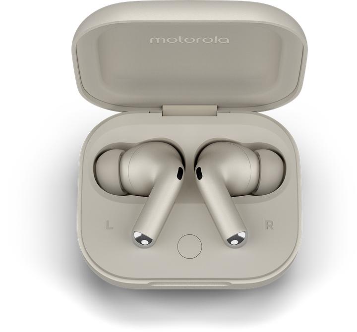 Actual product image Motorola Moto Buds+ (ANC, 7 h, Wireless)