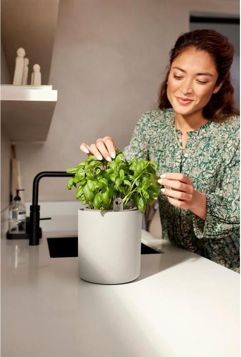 Image du produit Elho Bouncy Basil (17 x 21 cm)