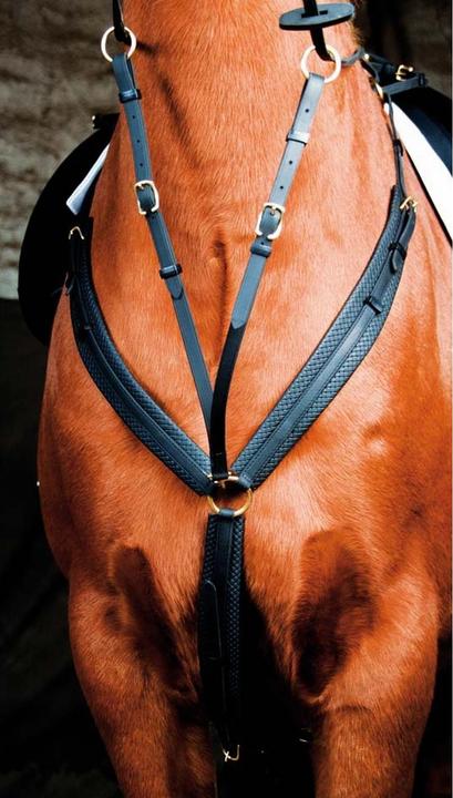 Image du produit TdeT Collier de chasse pour cheval