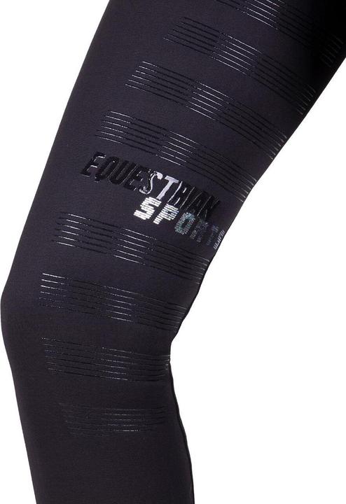 Produktbild Qhp Reitleggings World Tour Vollbesatz Damen (36)
