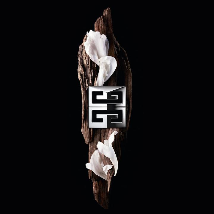 Produktbild Givenchy Gentleman Society (Spray, 150 ml)