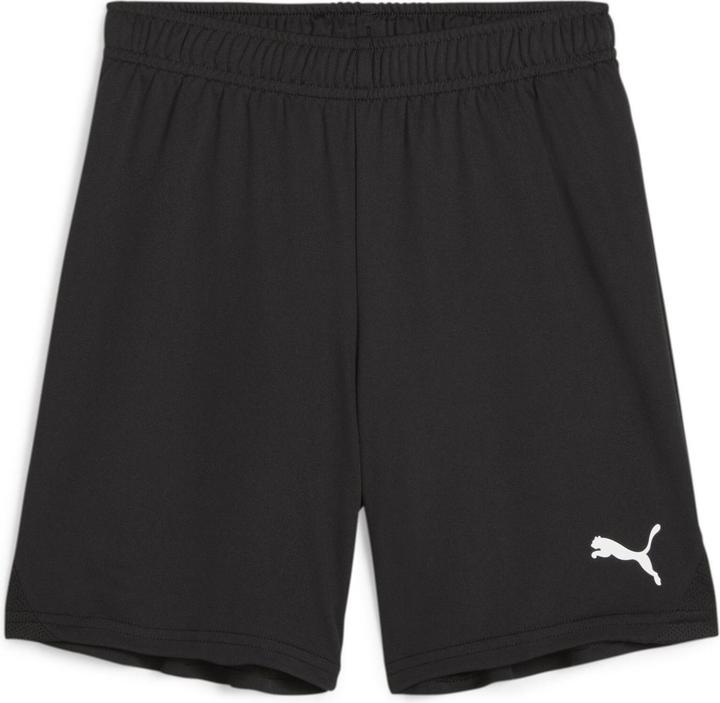 Actual product image Puma teamGOAL Shorts Jr (176)