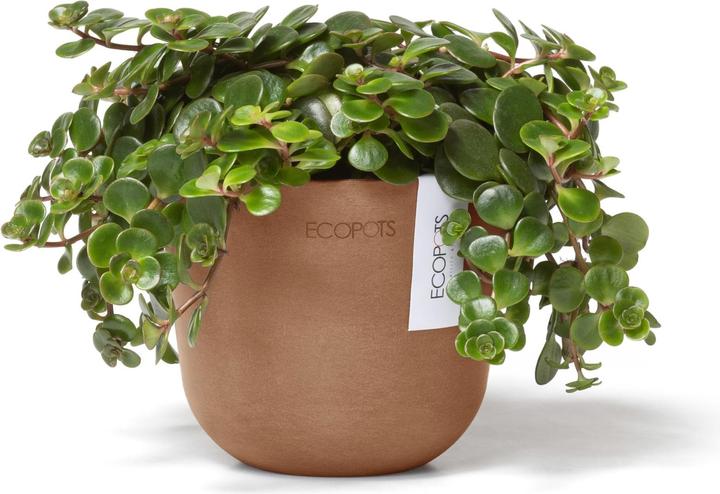 Immagine prodotto Ecopots Oslo Mini (16 cm)