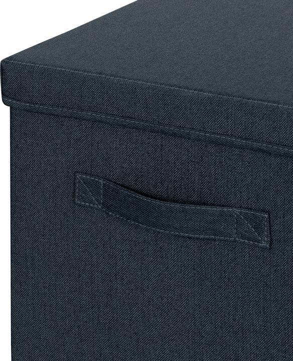 Image du produit Leitz Boîte pliante (33 cm, 34 l, 2x)