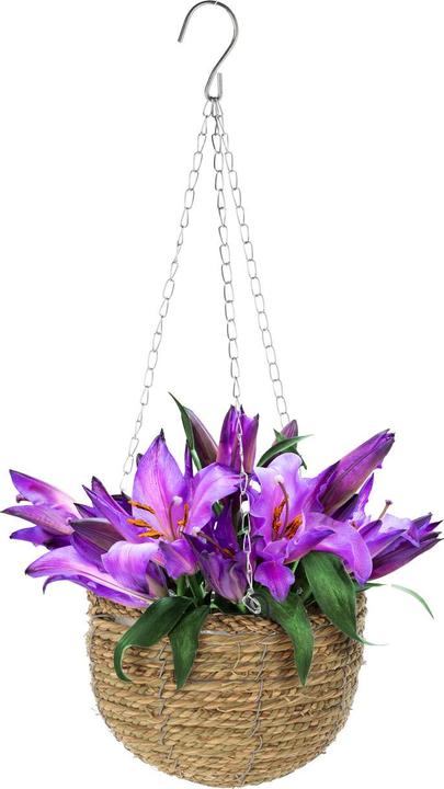 Produktbild Natura Punto Hängeblumentöpfe Set (30 cm)