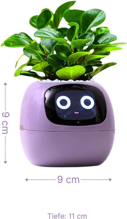 Produktbild Hermex Ivy Smart Planter (9 x 11 x 9 cm)