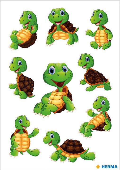 Actual product image HERMA Sticker turtle