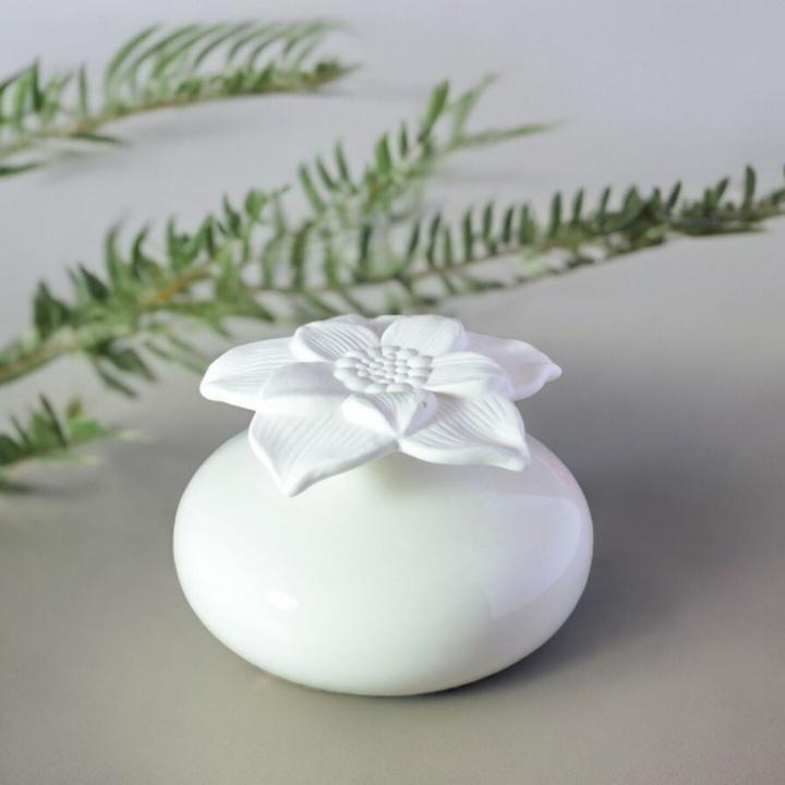 Produktbild Zen Arôme Kapillar-Diffusor mit Gipsblume Diffuser für ätherische Öle oder Raumdüfte Aromatherapie N (140 ml)