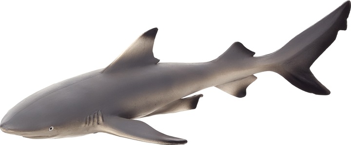 Animal Planet Blacktip reef shark