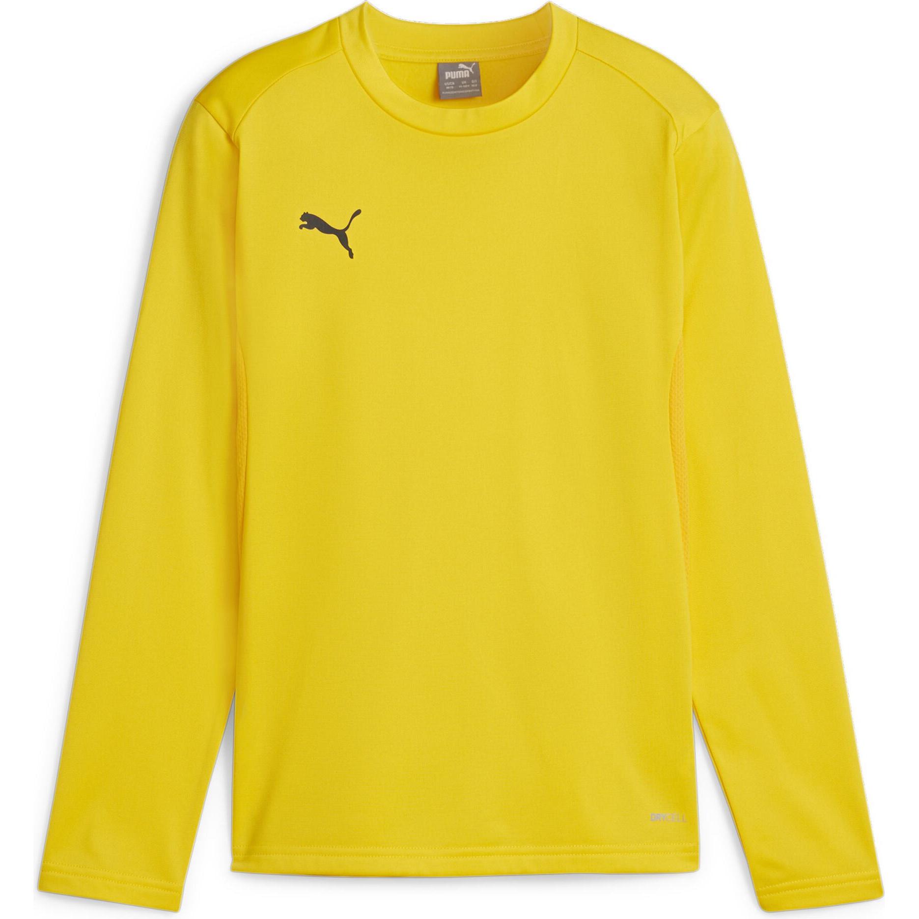 Puma, Jungen, Pullover, teamGOAL Training Sweat Jr, Gelb, (164)