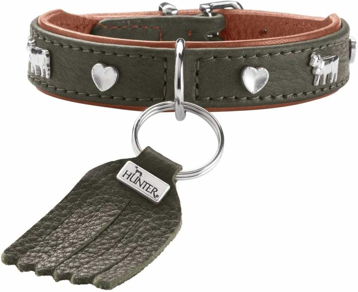 Image du produit Hunter Collier München Mini 30/XS, cuir de boeuf, vert/cognac (XS, Chien, Général)