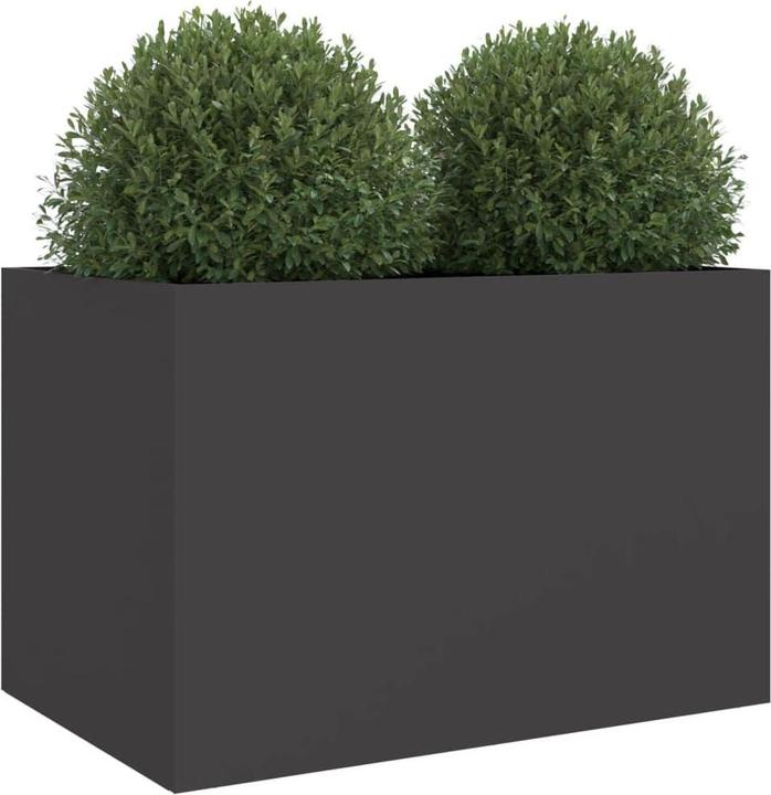 Immagine prodotto vidaXL Pflanzgefäss