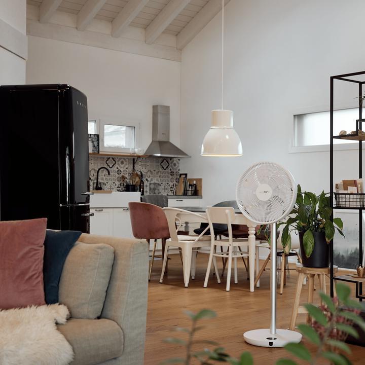 Actual product image ecofort ecoQ SilentAir Grande (58 dB)