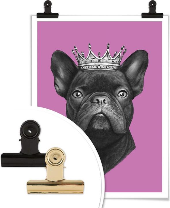 Immagine prodotto Trenddeko Re bulldog francese rosa (30 x 40 cm)