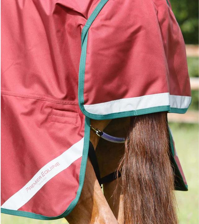 Immagine prodotto Premier Equine Titan 100 g