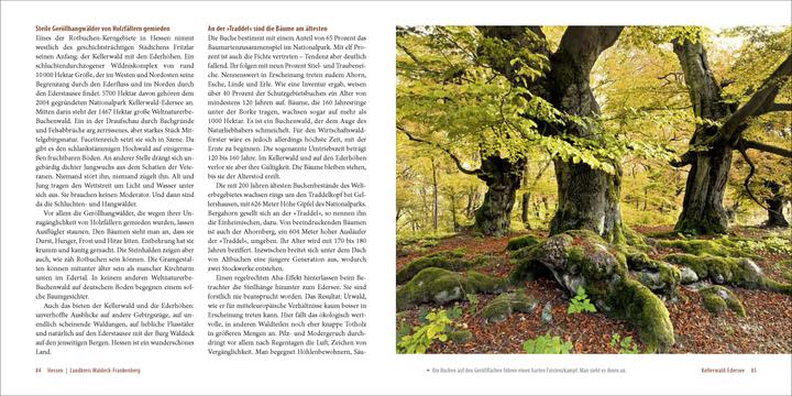 Produktbild Deutschlands alte Buchenwälder (Deutsch, Karl-Heinz Engel, 2015)