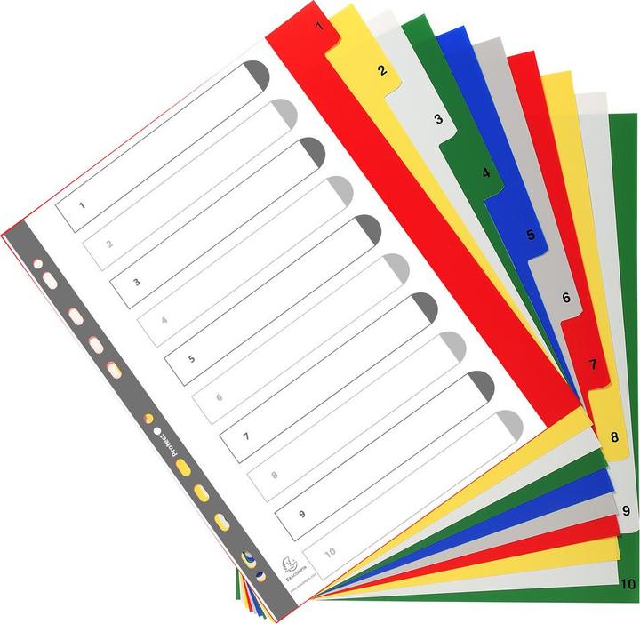 Image du produit Exacompta Intercalaires imprimés numériques PP couleurs 12/100e - 10 positions - A4+ - Assorties vives