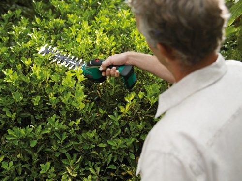 Actual product image Bosch Home & Garden ASB 10.8 LI Set (Cordless hedgecutters)