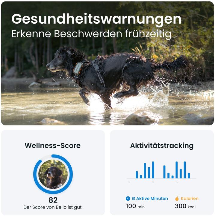 Produktbild Tractive GPS Dog (XL, Hund, Spazieren, Jogging, Hundesport)