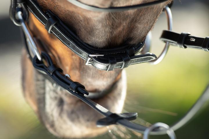 Immagine prodotto HFI Master Technical