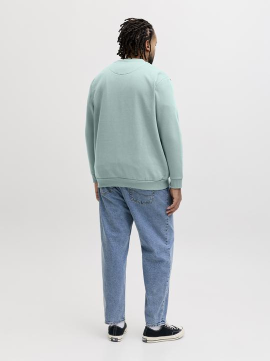 Produktbild Jack & Jones Jjebradley Sweat Crew Noos Pls