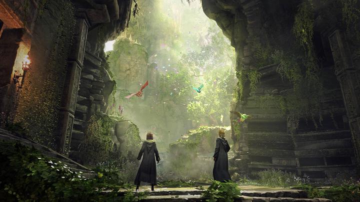 Produktbild WB Hogwarts Legacy (PS5, DE, FR)