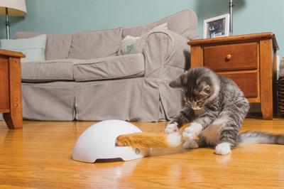 Image du produit PetSafe Jouet casse-tête terrier du renard automatique pour chats FroliCat®