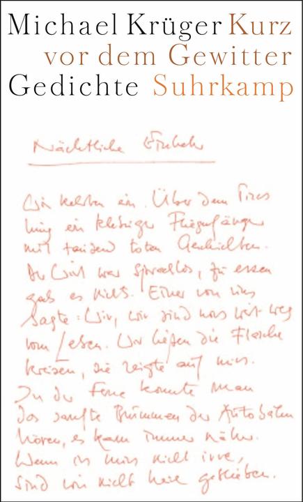 Produktbild Kurz vor dem Gewitter (Deutsch, Michael Krüger, 2003)