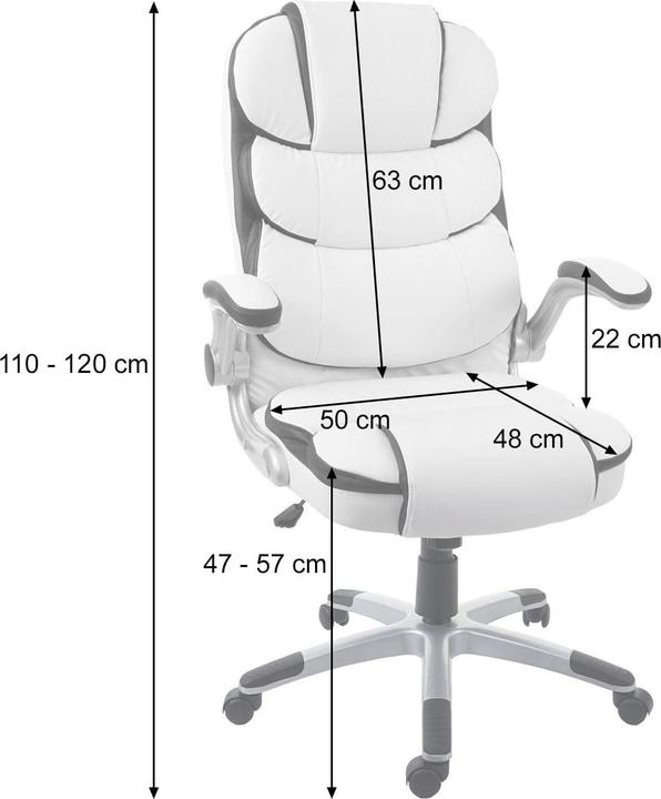 Produktbild Swisshandel24 Chefsessel