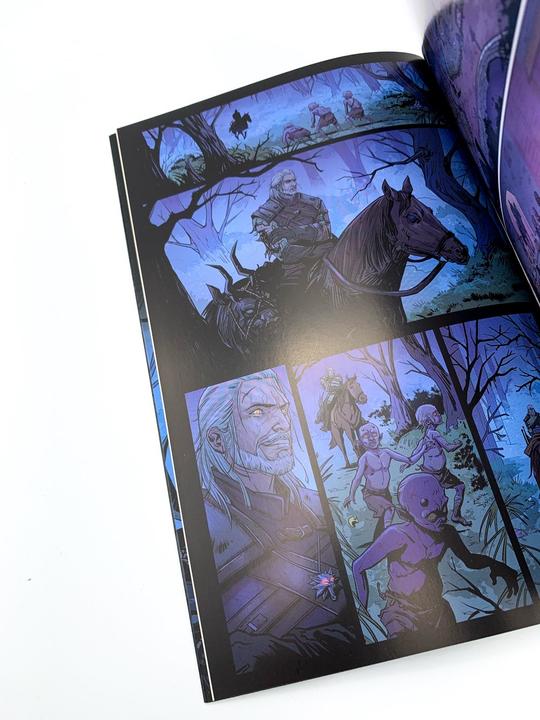 Produktbild Panini The Witcher (Deutsch, Matt Burns, Andrew Robinson, 2019)