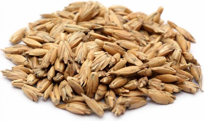 Actual product image Gorilla Sports Organic spelt husk