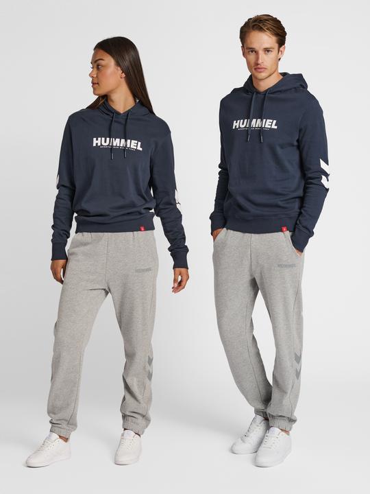 Actual product image hummel Legacy Logo Hoodie (XXS)