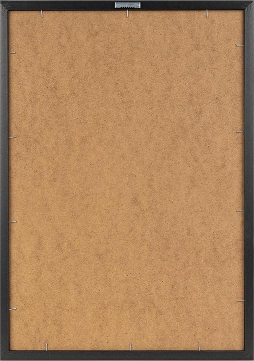 Actual product image Wallxpert 122RMF1183