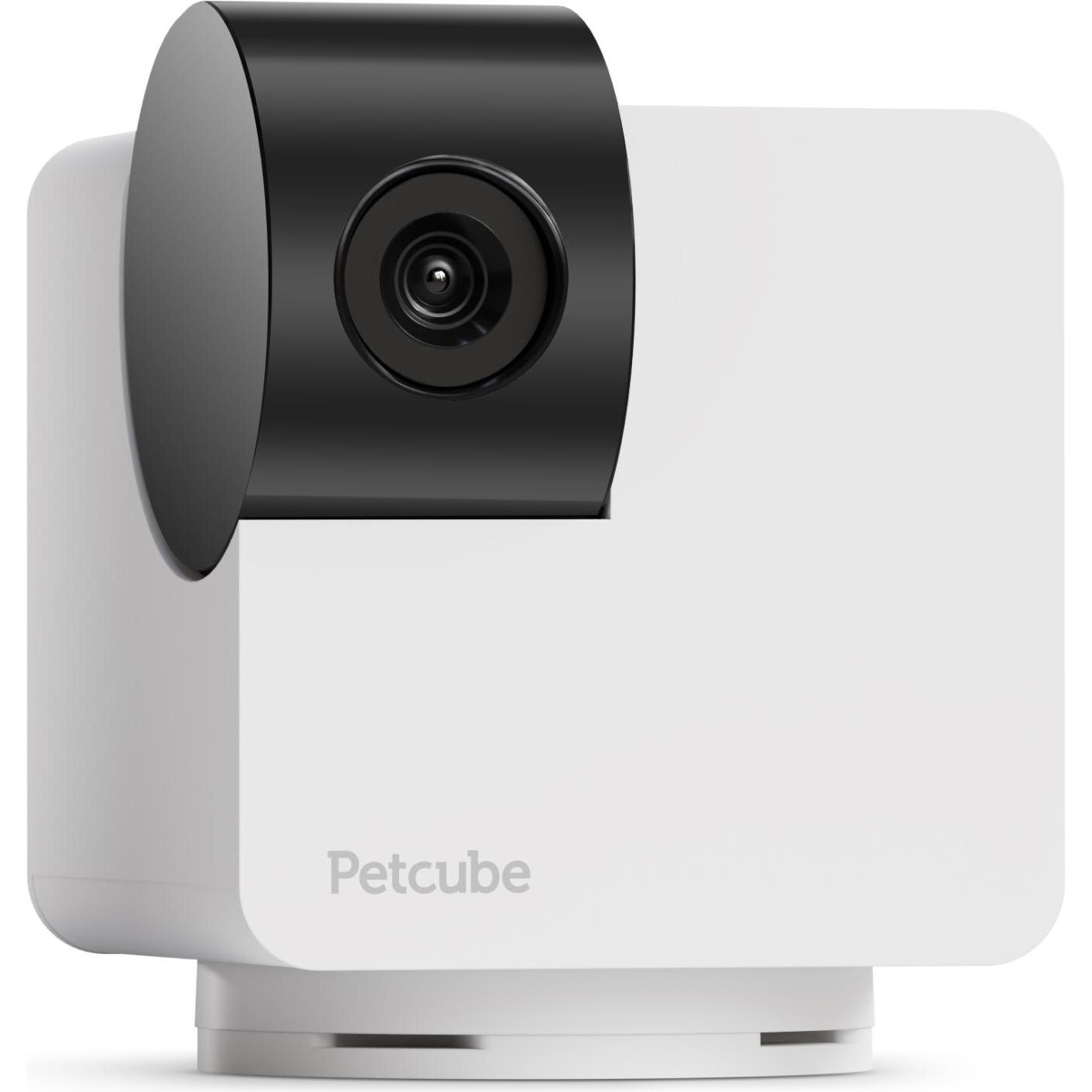 Petcube Cam 360 (Hundespielzeug, Katzenspielzeug), Katzenspielzeug