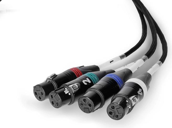 Actual product image Palmer Audio AoC Loom XLR F - Audio over Cat multicore adapter cable from Ethercon to 4 x XLR female
