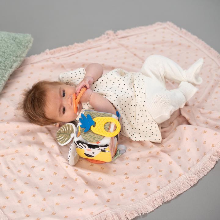 Image du produit Taf Toys Cube d’activités Savannah