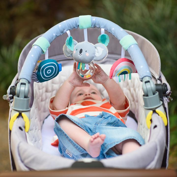 Productafbeelding Taf Toys Koala