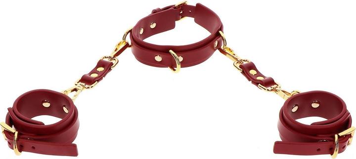 Actual product image Taboom D-Ring Collar and Wrist Cuffs