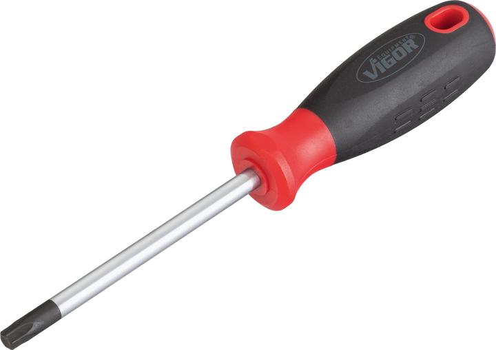 Image du produit Vigor Atelier Tournevis Torx (TX)