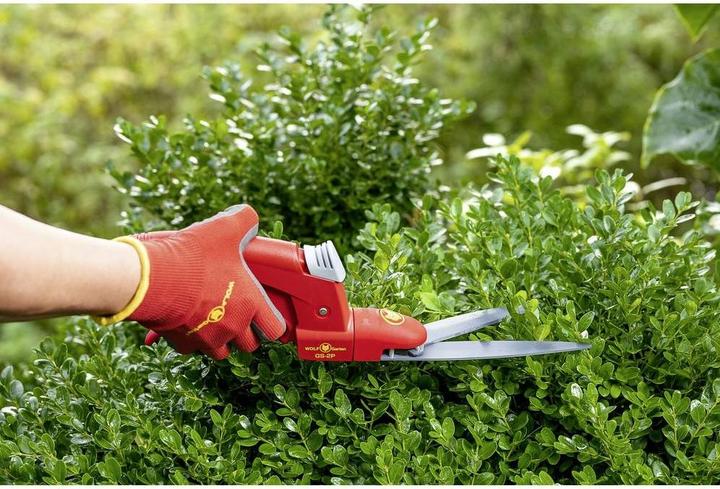 Immagine prodotto GCS Gs-2P Cesoie per erba Comfort