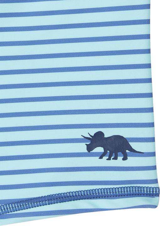 Produktbild Vertbaudet 2er-Pack Jungen Boardshorts mit Dinos (98)