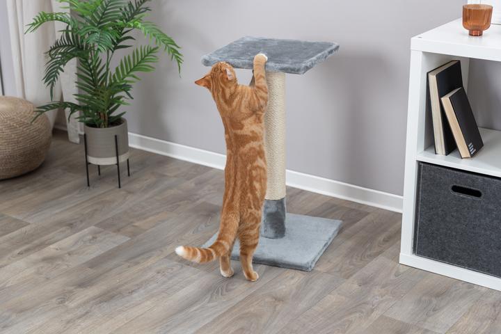 Productafbeelding Trixie Krabpaal Baena Midden Grijs (69 cm, Grijs)