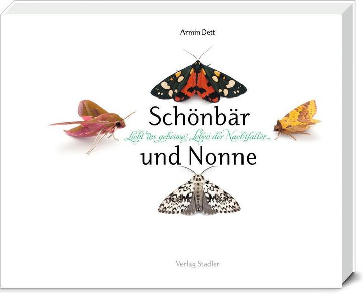 Produktbild Schönbär und Nonne (Deutsch, Armin Dett, 2013)