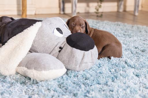 Productafbeelding Beeztees Boomby (Puppy speelgoed)