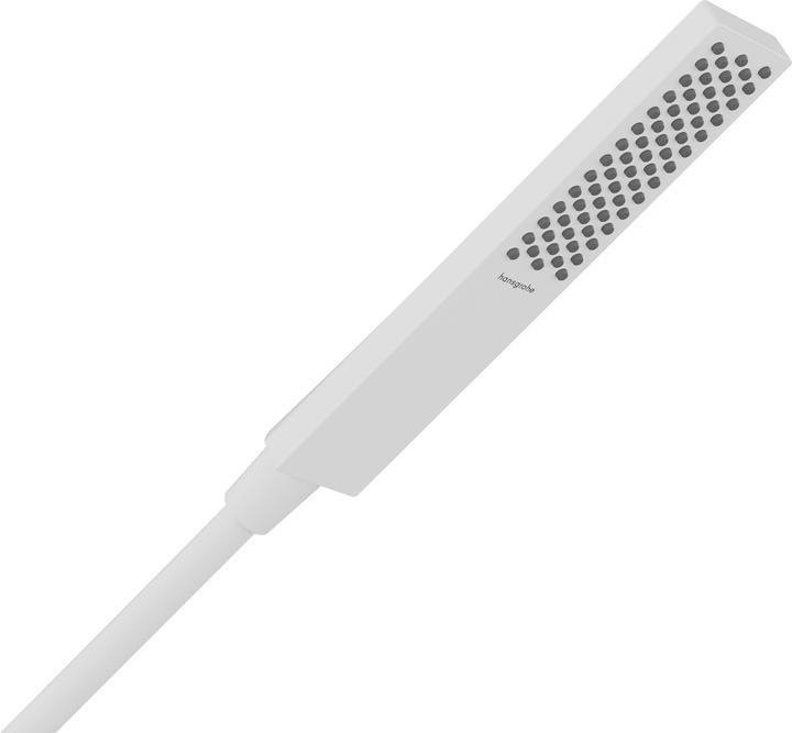 Produktbild hansgrohe Pulsify E Stabhandbrause 100, 1 Strahlart EcoSmart, 24320 (1 Strahlarten, 8 l/min)