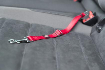 Image du produit Trixie Harnais de voiture (23, 24, 25, 27, 28, 29, 30, 31, 32, 33, 34, 35, 36, 37, 38, 39, 40, 41, 42, 43, 44, 45, 46, 47, 48, 49, 50, Chat, Promenade)